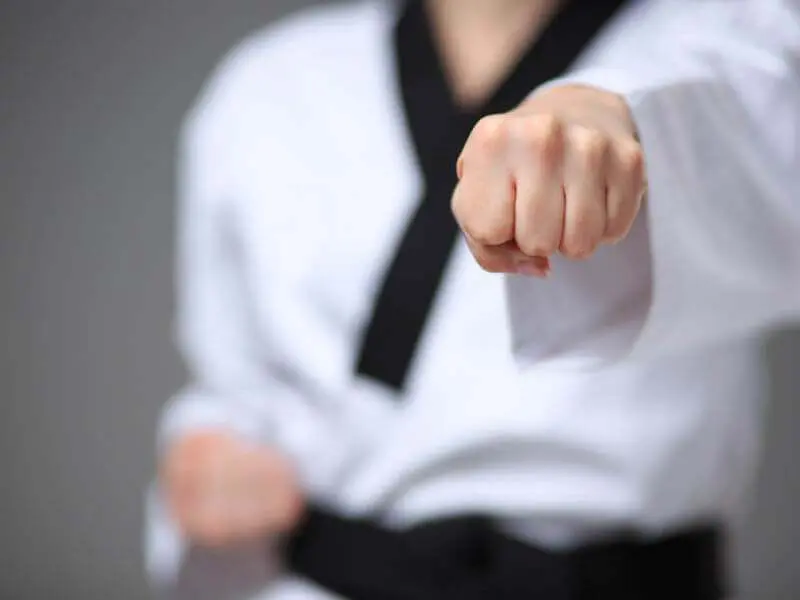 Top Adult Karate Classes in Tacoma