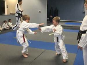 Preschool Martial Arts 2 300x225, Barner&#039;s Blue Dragons Tacoma