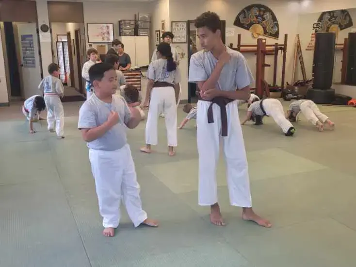 kids martial arts benefits focus and concentration